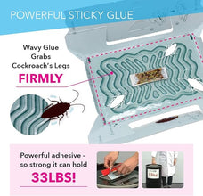Hoy Hoy Cockroach Trap, Made in Japan, 5 Traps, Pesticide Free Safe and Easy Cockroach Trap, Irresistible Bait, for Home with Kids & Pets, Water Resistant, No.1 Japanese Trap