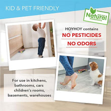 Hoy Hoy Cockroach Trap, Made in Japan, 5 Traps, Pesticide Free Safe and Easy Cockroach Trap, Irresistible Bait, for Home with Kids & Pets, Water Resistant, No.1 Japanese Trap